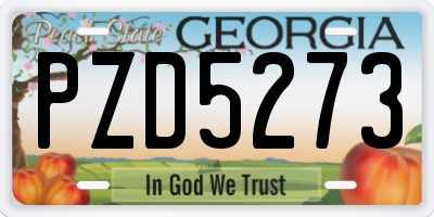 GA license plate PZD5273