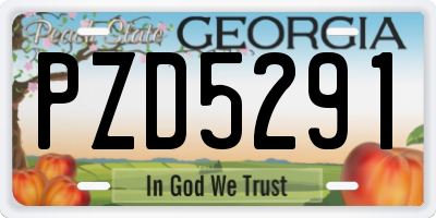 GA license plate PZD5291