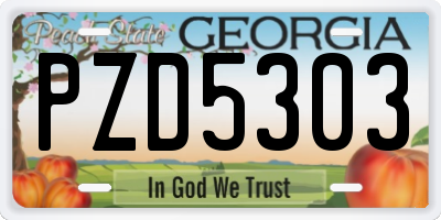GA license plate PZD5303