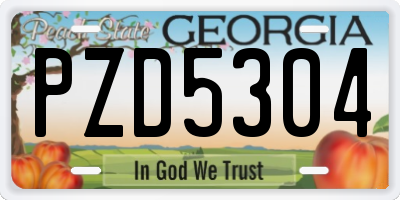 GA license plate PZD5304