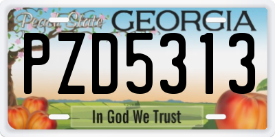 GA license plate PZD5313