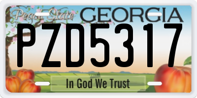 GA license plate PZD5317