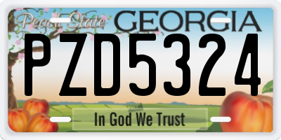 GA license plate PZD5324