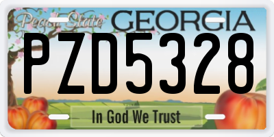 GA license plate PZD5328