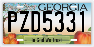 GA license plate PZD5331