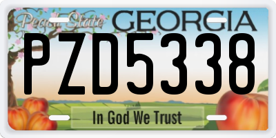 GA license plate PZD5338
