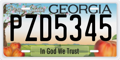 GA license plate PZD5345