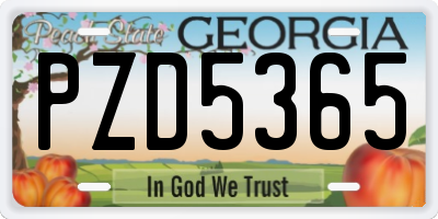 GA license plate PZD5365