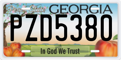 GA license plate PZD5380