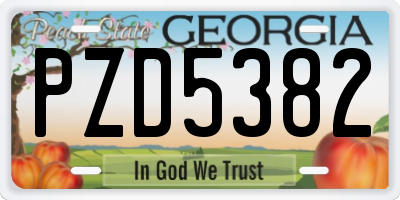 GA license plate PZD5382