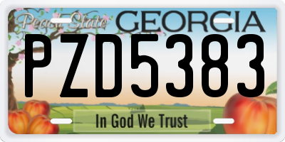 GA license plate PZD5383