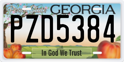 GA license plate PZD5384