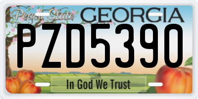 GA license plate PZD5390