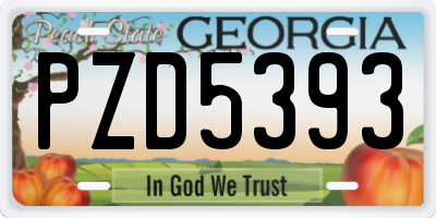 GA license plate PZD5393