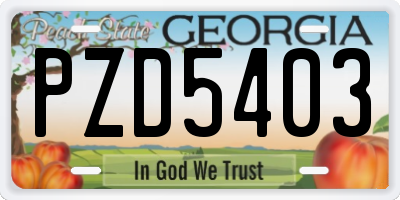 GA license plate PZD5403