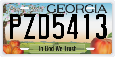 GA license plate PZD5413