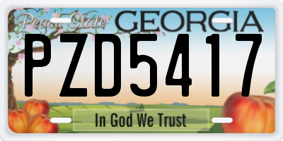 GA license plate PZD5417