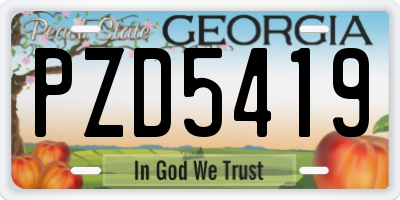 GA license plate PZD5419