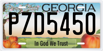 GA license plate PZD5450
