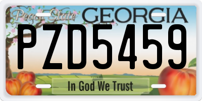 GA license plate PZD5459