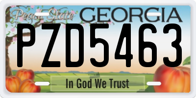 GA license plate PZD5463