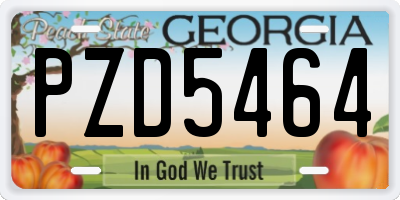 GA license plate PZD5464