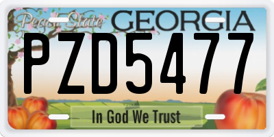 GA license plate PZD5477