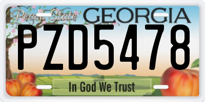 GA license plate PZD5478