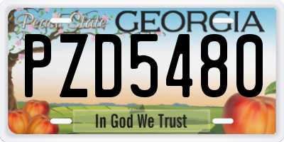 GA license plate PZD5480
