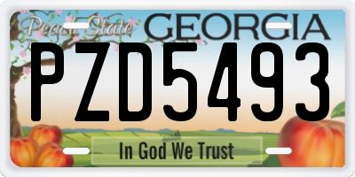 GA license plate PZD5493