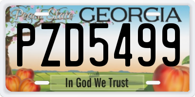 GA license plate PZD5499