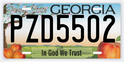 GA license plate PZD5502