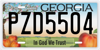GA license plate PZD5504