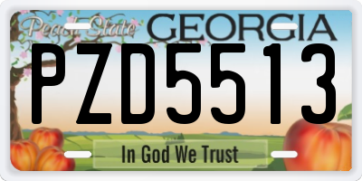 GA license plate PZD5513