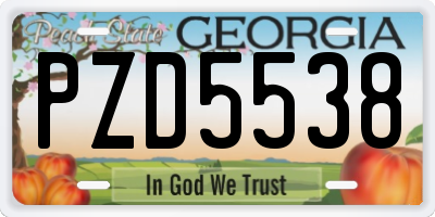 GA license plate PZD5538