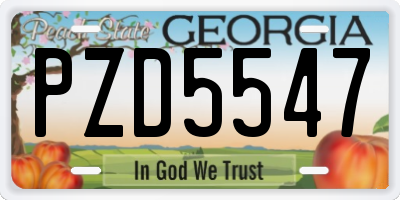 GA license plate PZD5547