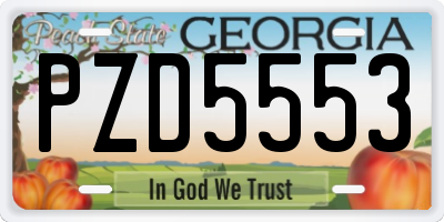 GA license plate PZD5553
