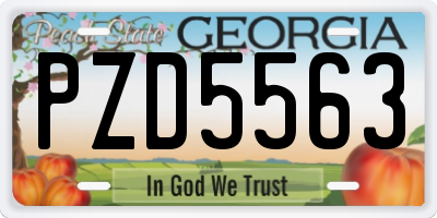 GA license plate PZD5563