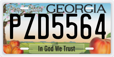 GA license plate PZD5564