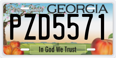 GA license plate PZD5571