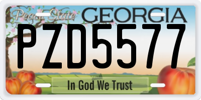 GA license plate PZD5577