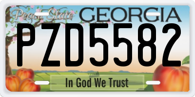 GA license plate PZD5582