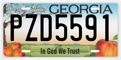 GA license plate PZD5591