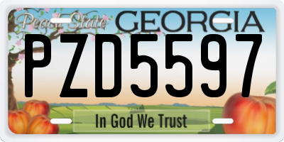 GA license plate PZD5597
