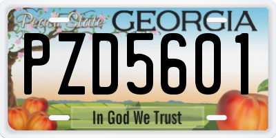 GA license plate PZD5601
