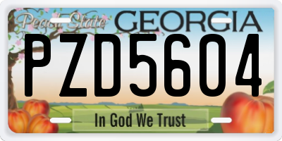 GA license plate PZD5604