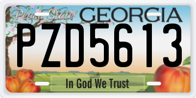 GA license plate PZD5613