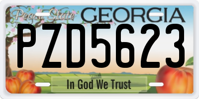 GA license plate PZD5623