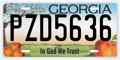 GA license plate PZD5636