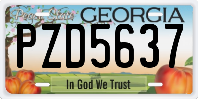 GA license plate PZD5637